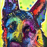 German Shepherd Colors - DIY Painting By Numbers Kit