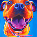 Adorable Dog Colors - DIY Painting By Numbers Kit