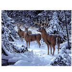 Deer Family - DIY Painting By Numbers Kit