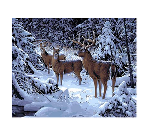 Deer Family - DIY Painting By Numbers Kit