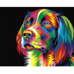 Colorful Dog - DIY Painting By Numbers Kits