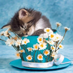 Cat Sleeping In A Cup - DIY Painting By Numbers Kit