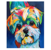 Cute Shih Tzu - DIY Painting By Numbers Kit