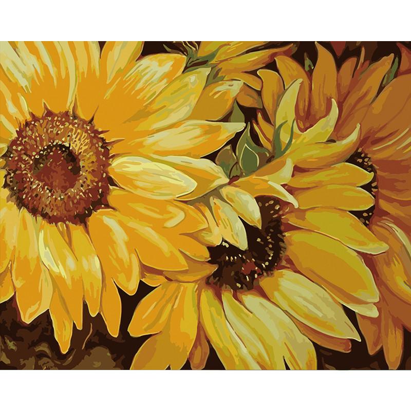 Sunflower Elegance - DIY Painting By Numbers Kit