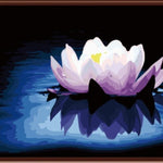 Pink Lotus - DIY Painting By Numbers Kit