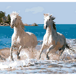 Horses Running in Sea - DIY Painting By Numbers Kit