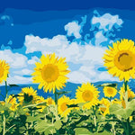 Sunflower Garden - DIY Painting By Numbers Kit