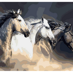 Horse Trio - DIY Painting By Numbers Kit