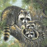 Raccoon Family - DIY Painting By Numbers Kit