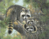 Raccoon Family - DIY Painting By Numbers Kit