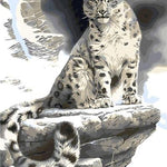 Cheetah in Snow - DIY Painting By Numbers Kit