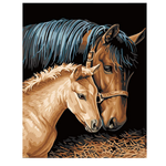 Horse & Foal - DIY Painting By Numbers Kit