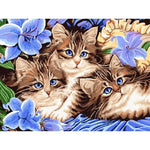 Three Kittens - DIY Painting By Numbers Kits