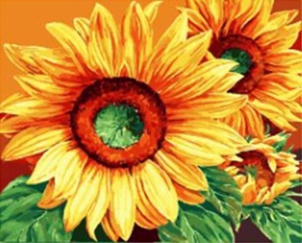 Sunflower Colors - DIY Painting By Numbers Kit