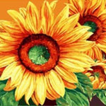 Sunflower Colors - DIY Painting By Numbers Kit