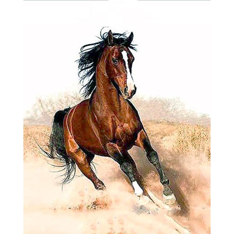 Brown Horse - DIY Painting By Numbers Kit