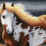 Elegant Horse - DIY Painting By Numbers Kit