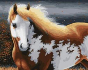 Elegant Horse - DIY Painting By Numbers Kit