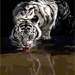 Tiger Drinking Water - DIY Painting By Numbers Kit