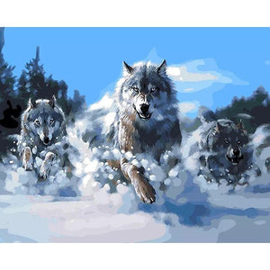 Wolf Race - DIY Painting By Numbers Kits