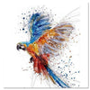 Parrot Colors - DIY Painting By Numbers Kit