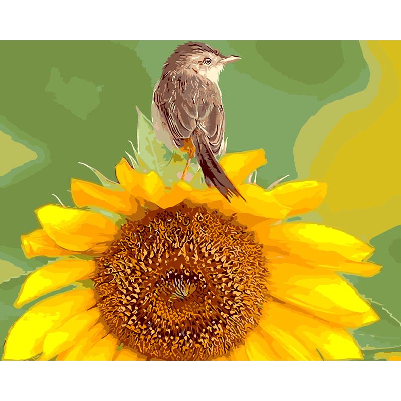 Little Bird On Sunflower - DIY Painting By Numbers Kit