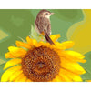 Sunflower Sparrow - DIY Painting By Numbers Kits