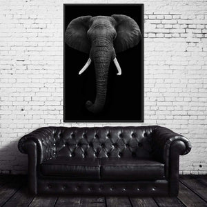 Black and White Elephant face