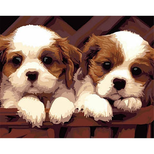 Two Cute Puppies - DIY Painting By Numbers Kits