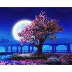 Stunning Night Sky - DIY Painting By Numbers Kits