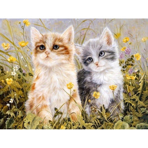 Two Kitties - DIY Painting By Numbers Kits