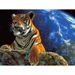 The Planet of Tiger - DIY Painting By Numbers Kit