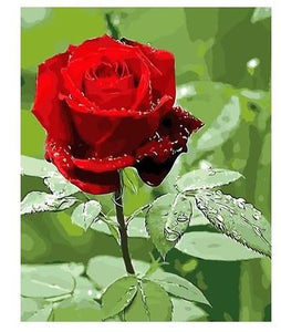 Acrylic Red Rose - DIY Painting By Numbers Kit