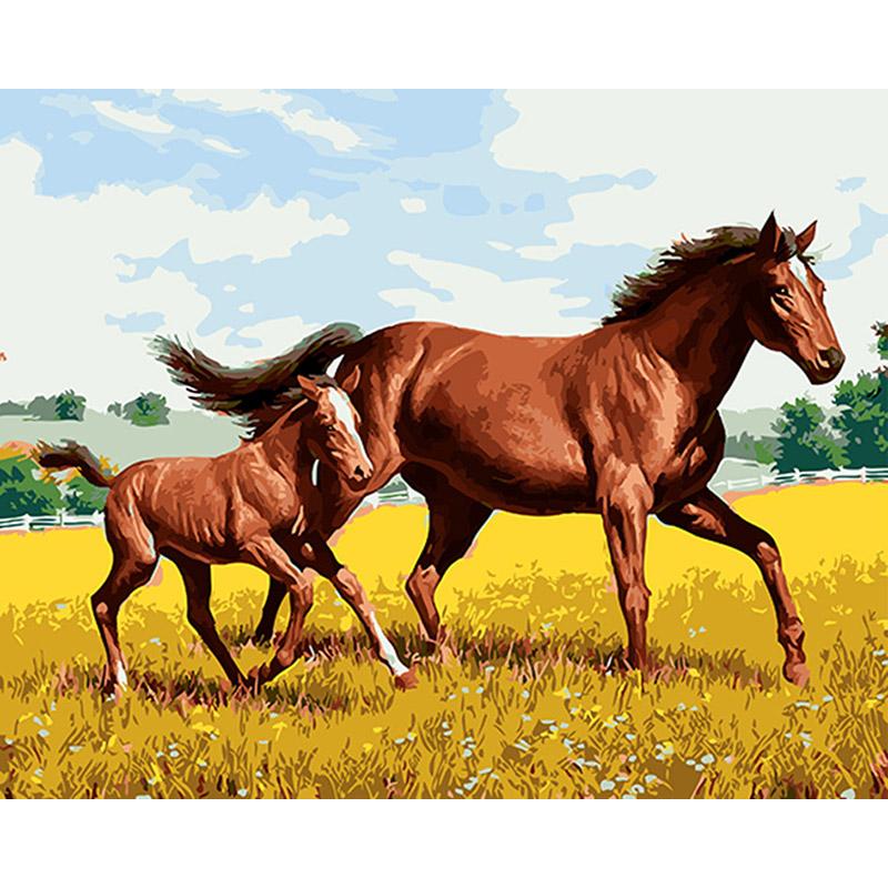 Horse Traning - DIY Painting By Numbers Kit