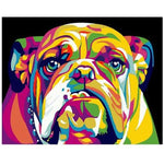 Colorful Dog 2 - DIY Painting By Numbers Kits