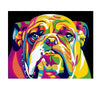 Acrylic Bulldog - DIY Painting By Numbers Kit