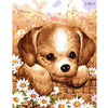 Cute Puppy - DIY Painting By Numbers Kits