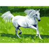 Gorgeous Horse - DIY Painting By Numbers Kits