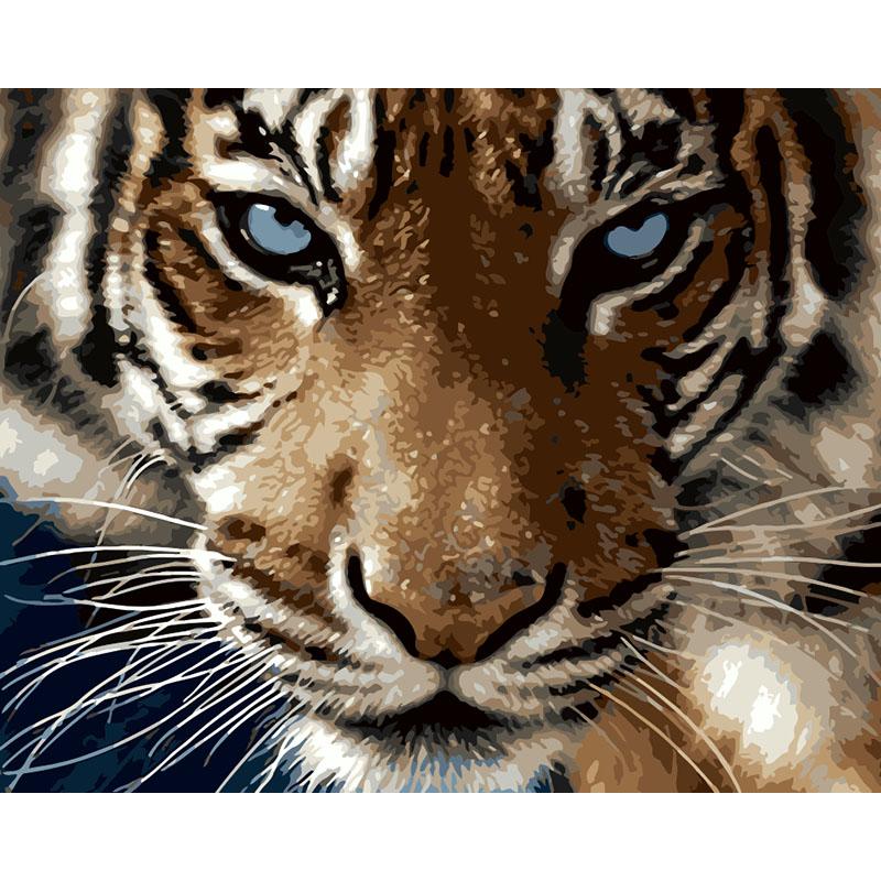 Fierce Tiger - DIY Painting By Numbers Kit