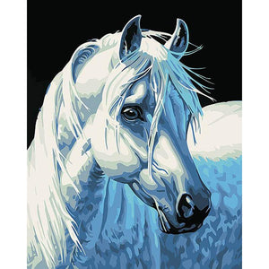 Majestic White Horse - DIY Painting By Numbers Kit