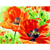 Acrylic Orange Flowers - DIY Painting By Numbers Kit