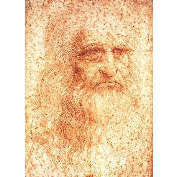 Portrait Of A Man In Red Chalk  - Leonardo Da Vinci DIY Painting By Numbers Kit