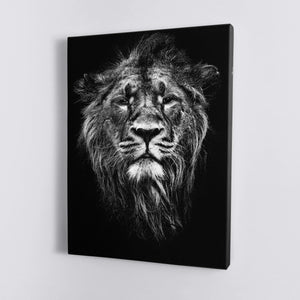 Black and White Lion Portrait