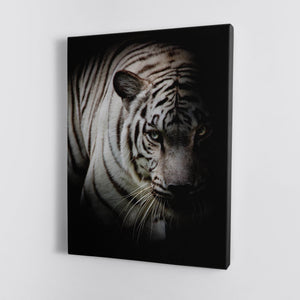 Black and White Tiger