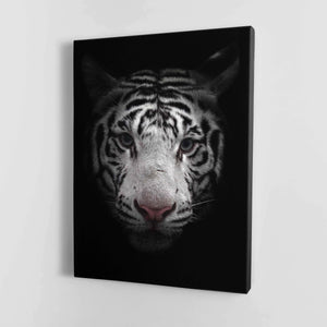 Black and White Bengal Tiger
