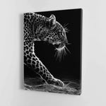 Black and white Leopard