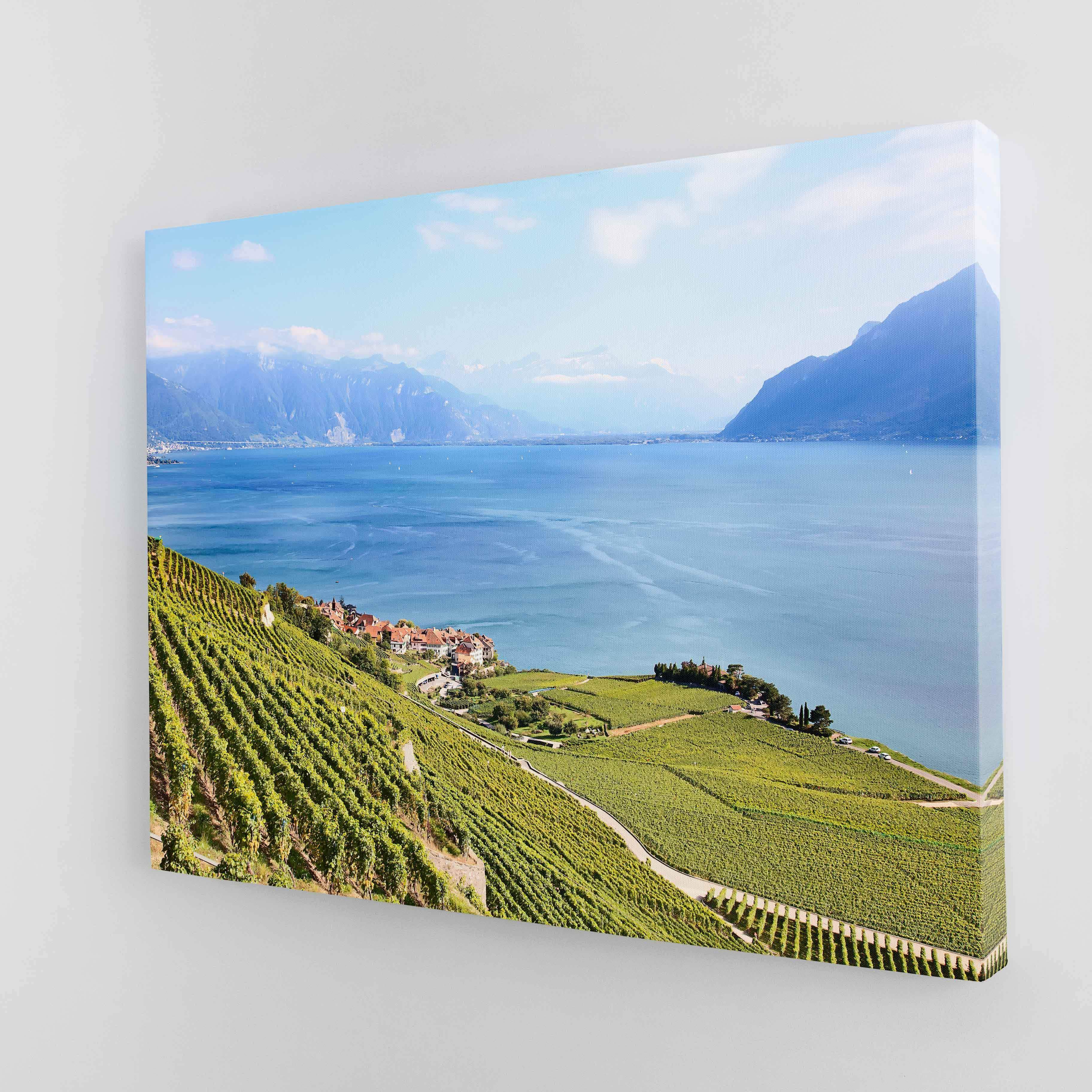 Lavaux region vineyard