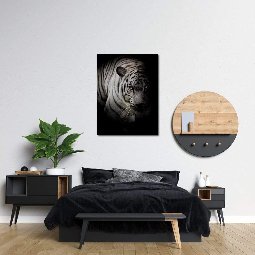 Black and White Tiger