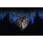 Night's Wolf - DIY Painting By Numbers Kits