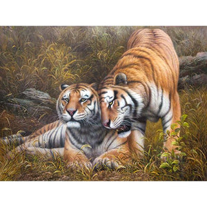 Couple of Tigers - DIY Painting By Numbers Kits